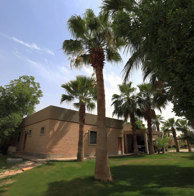 اليمامة-02 (1).webp