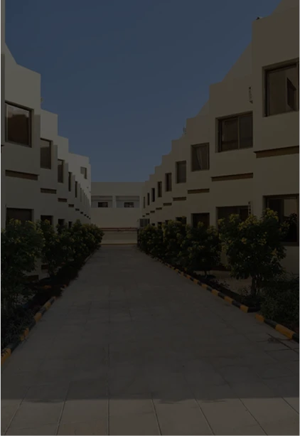 pmo-4_(1).webp (5)