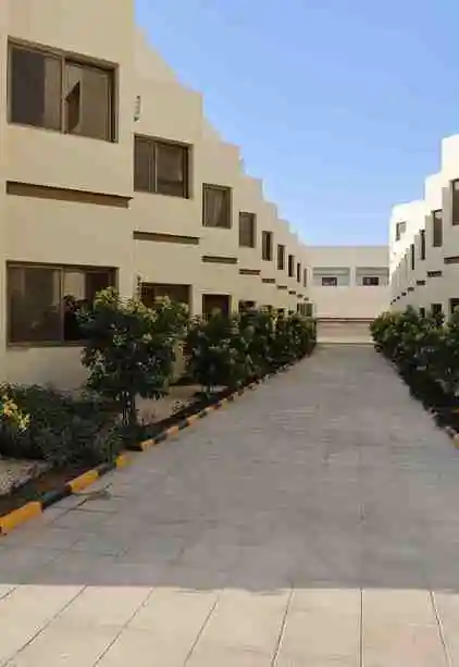 sl-9.webp (1)